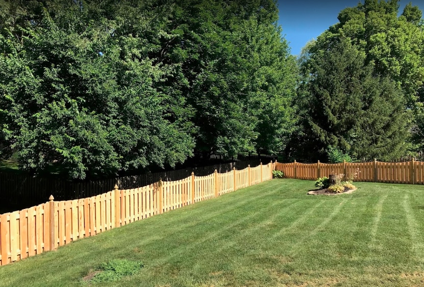 Blue Bird Fence Company Customer Review